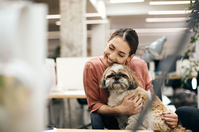 Are you and your furry friends suitable for deodorizing spray? What other effects are there in addition to deodorization?